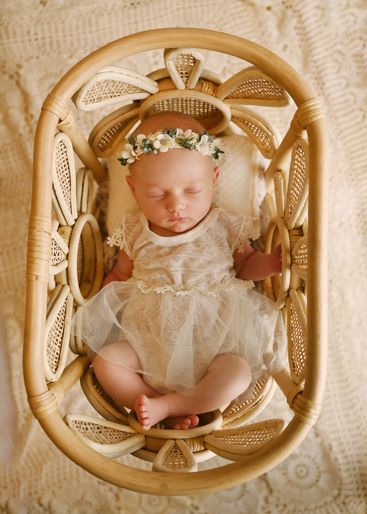 newborn photographer Sherman Texas