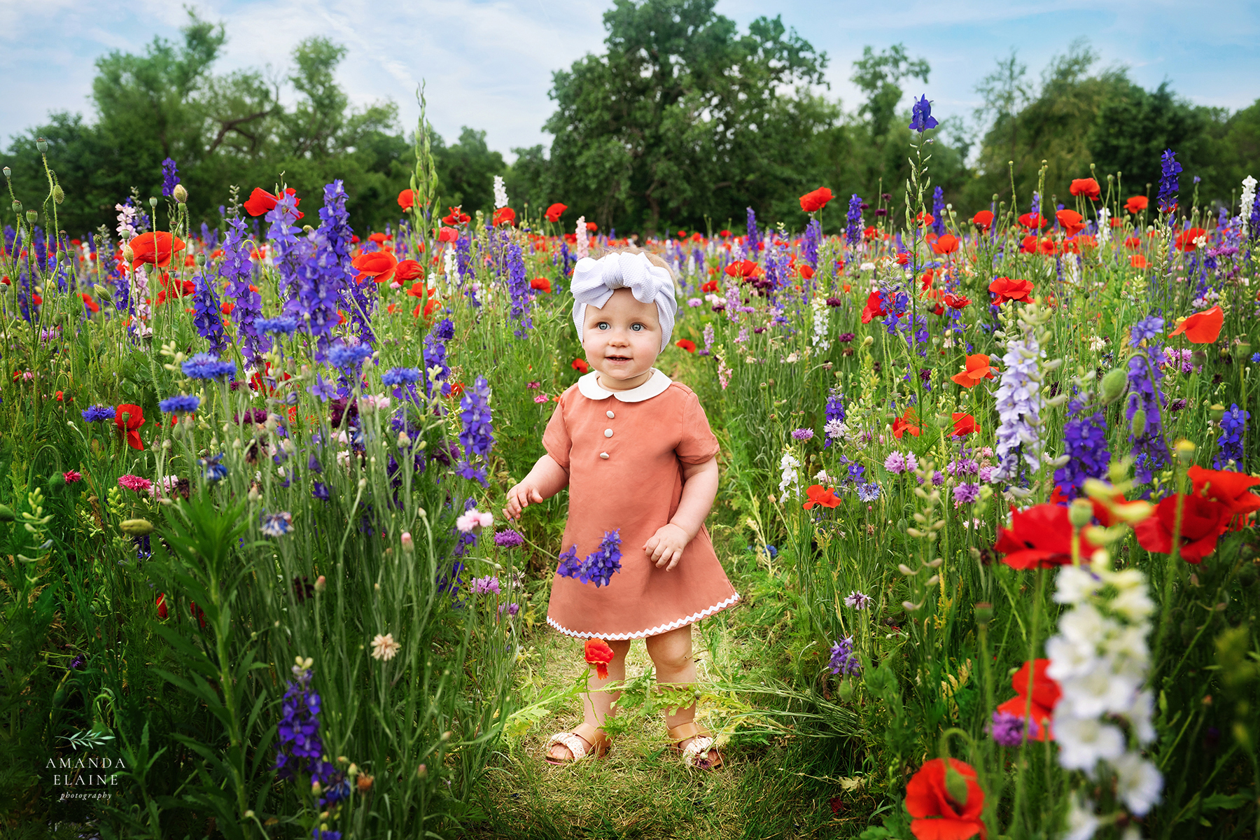 Wildflower and bluebonnet mini sessions DFW