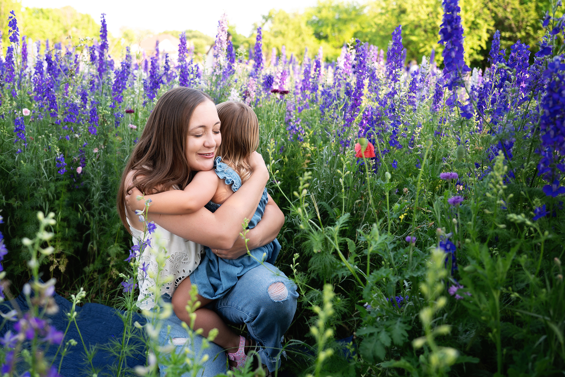 Wildflower photos DFW