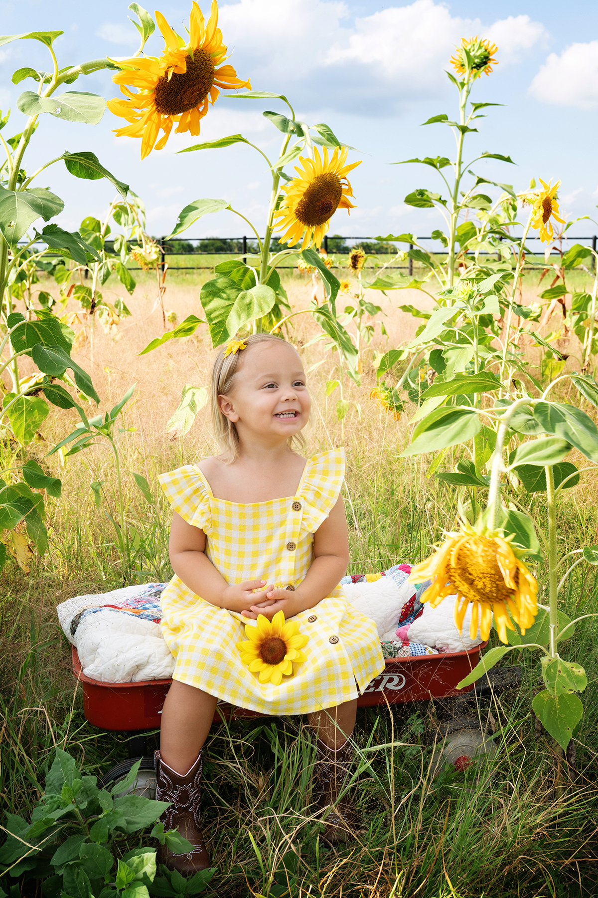 sunflower mini session photos Blue Ridge, Texas