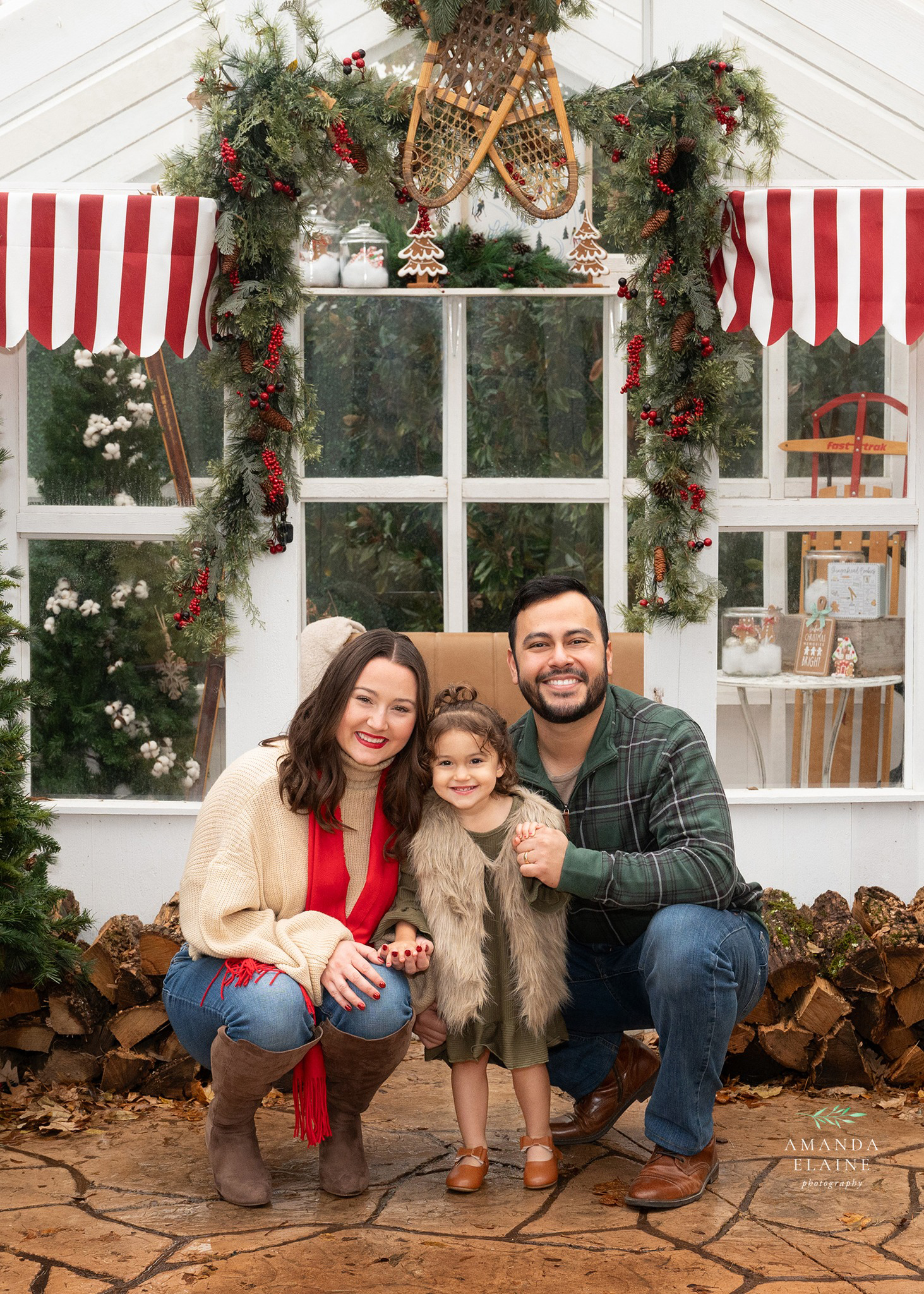 Greenhouse Christmas Minis DFW 2025